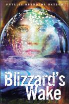Book cover for Blizzard's wake