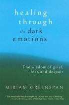 Book cover for Healing through the dark emotions the wisdom of grief  fear  and despair