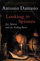 Book cover for Looking for Spinoza joy  sorrow  and the feeling brain
