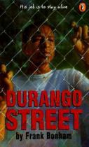 Book cover for Durango Street