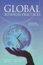 Book cover for Global business practices adapting for success