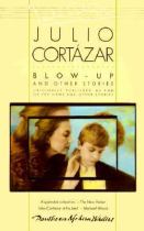 Book cover for Blow-up  and other stories
