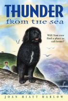 Book cover for Thunder from the sea
