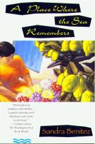 Book cover for A place where the sea remembers a novel