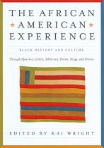 Book cover for The African American Experience