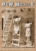 Book cover for New Mexico