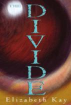 Book cover for The Divide
