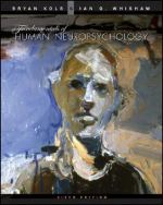 Book cover for Fundamentals of Human Neuropsychology