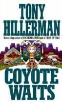 Book cover for Coyote Waits