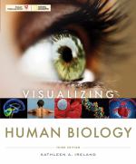 Book cover for Visualizing Human Biology