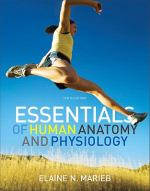 Book cover for Essentials of Human Anatomy and Physiology