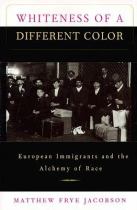 Book cover for Whiteness of a Different Color