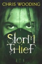Book cover for Storm Thief
