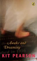 Book cover for Awake and Dreaming