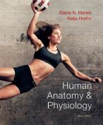 Book cover for Human Anatomy and Physiology