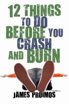 Book cover for 12 Things to Do Before You Crash and Burn