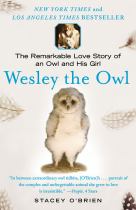 Book cover for Wesley the Owl