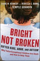 Book cover for Bright Not Broken