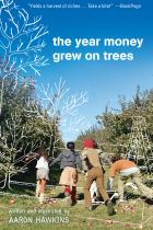 Book cover for The Year Money Grew on Trees