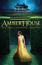 Book cover for Amber House