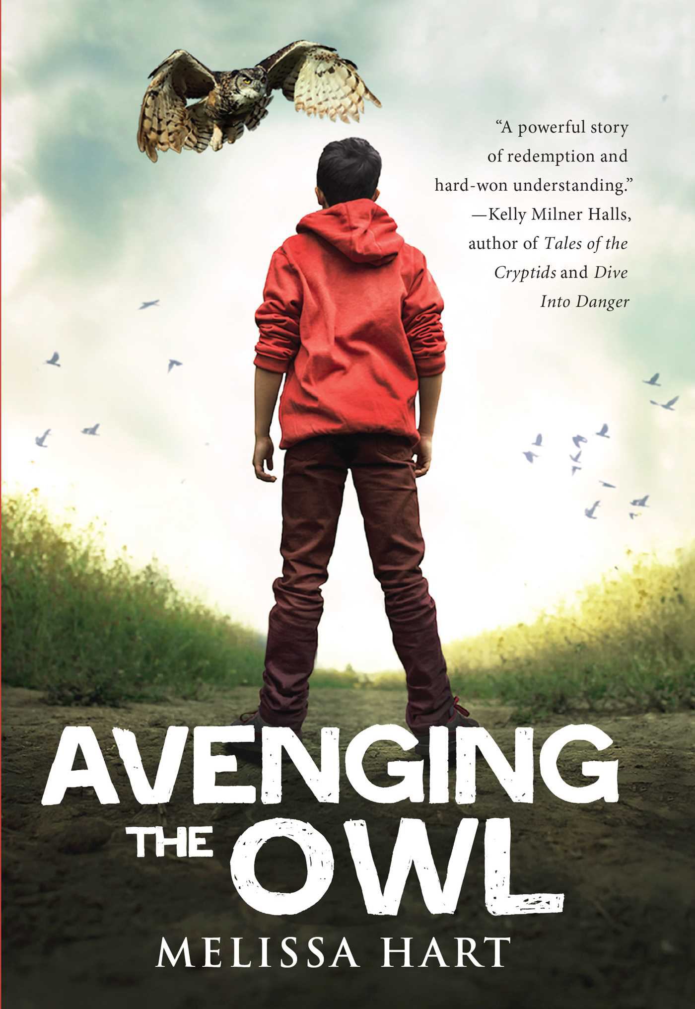 Book cover for Avenging The Owl