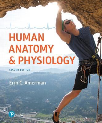 Book cover for Human Anatomy and Physiology