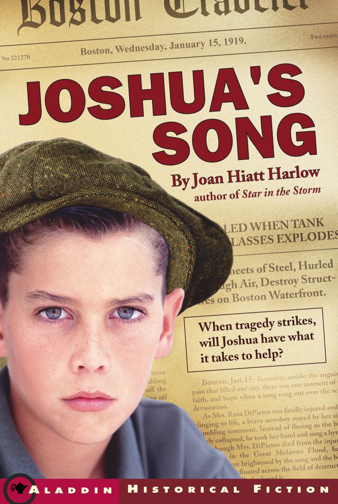 Book cover for Joshua's Song