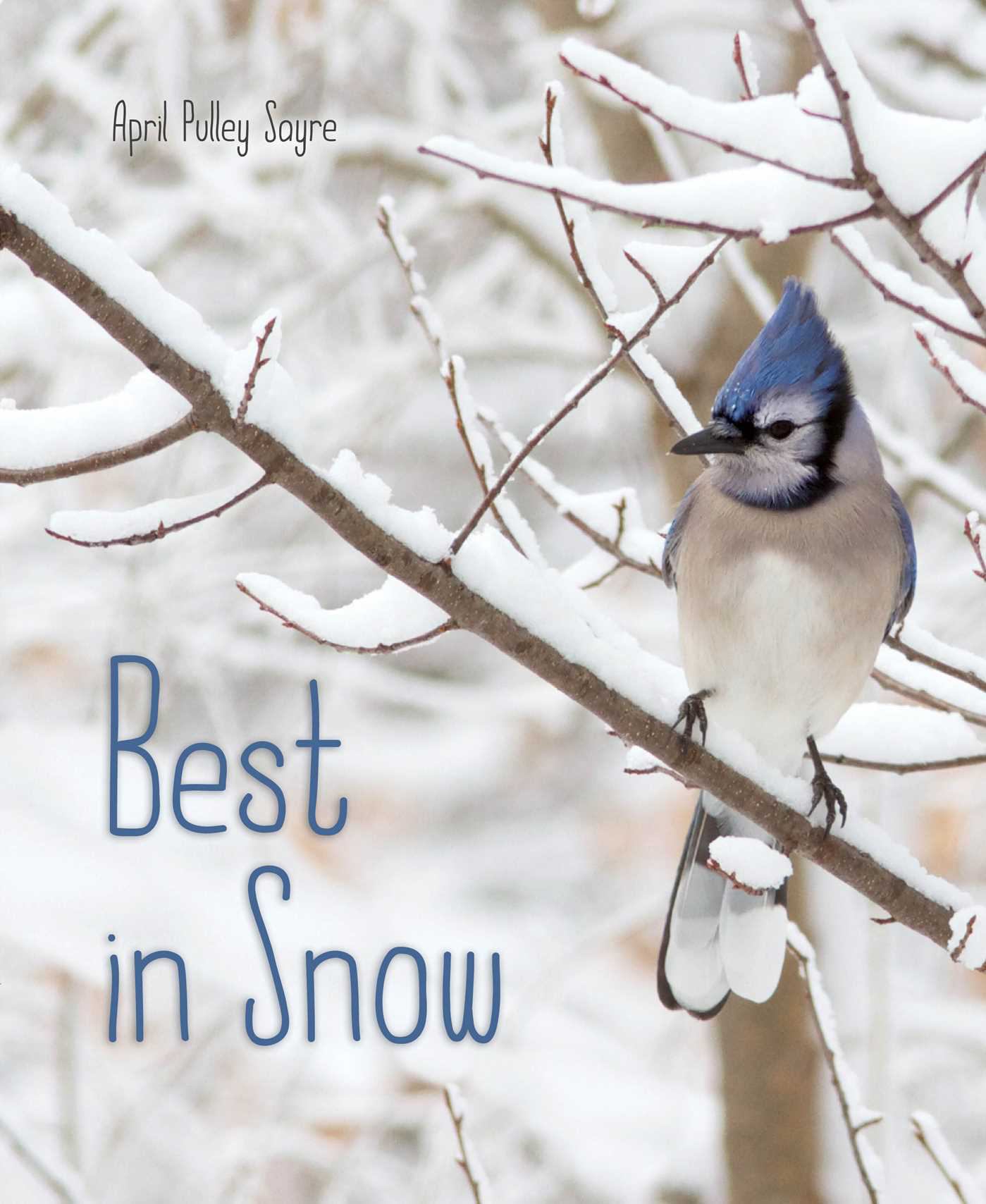 Book cover for Best in Snow
